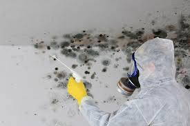 Mold Remediation for Vacation Homes in Ohatchee, AL